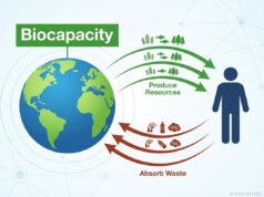 Biocapacity
