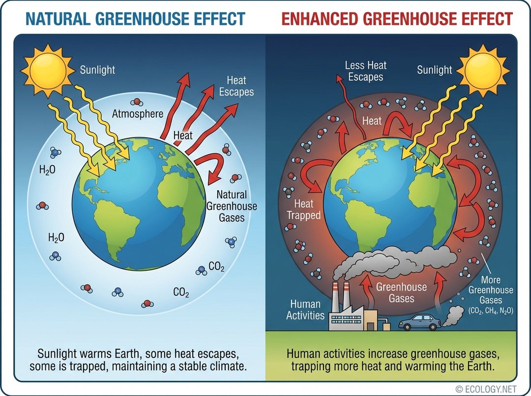 Diagram illustrating the natural and enhanced greenhouse effect with human activities.