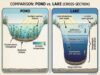 Ponds