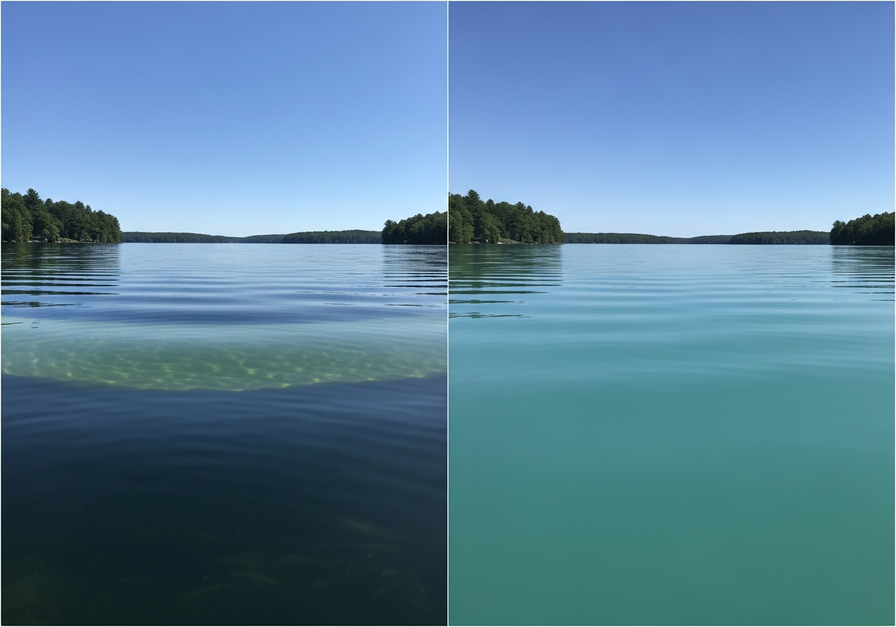 Split-screen image comparing a stratified summer lake with a uniformly mixed lake after spring turnover.